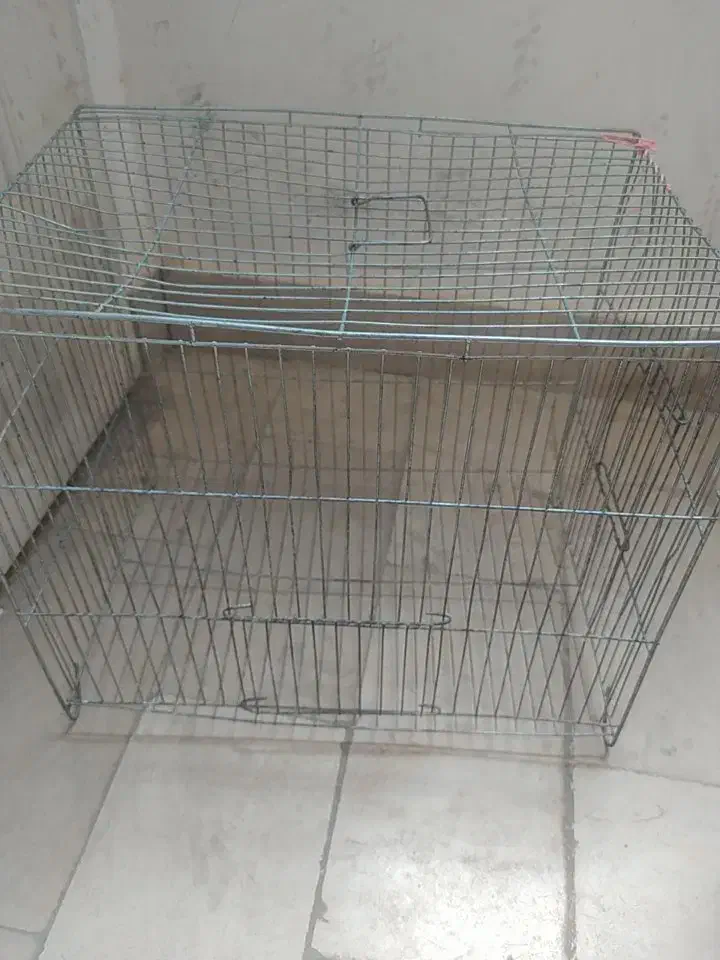 دوعدد قفس پرنده سالم|لوازم جانبی حیوانات|سهند, |دیوار