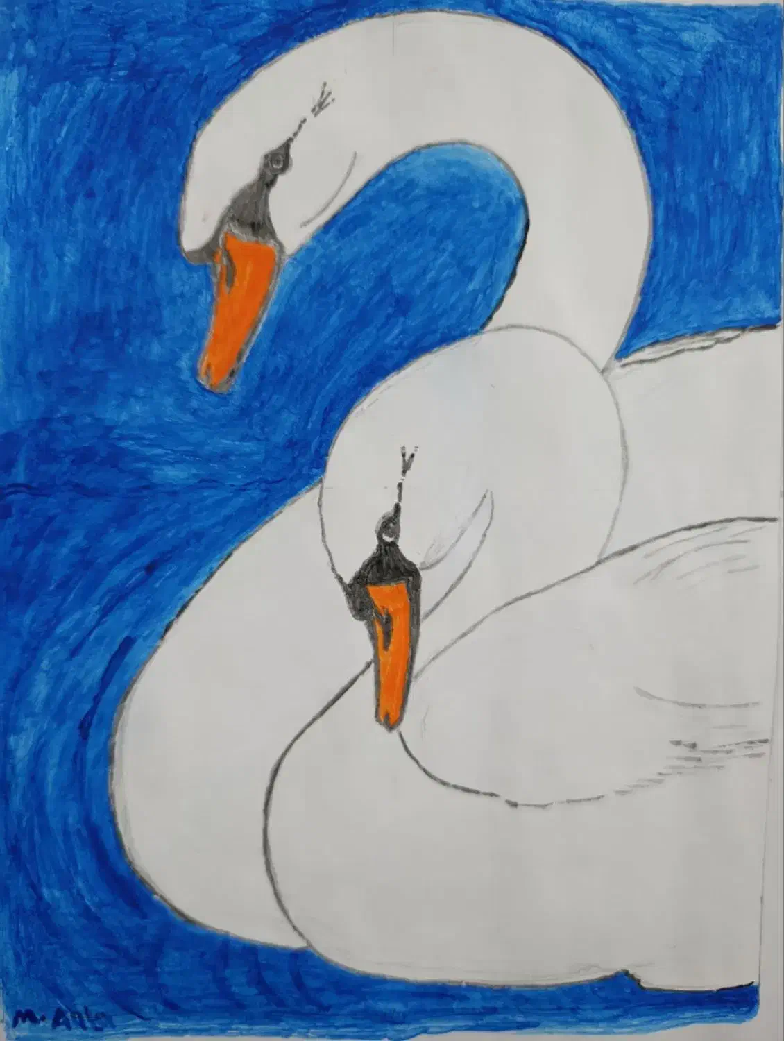 قوی سفید|تابلو، نقاشی، عکس|مراغه, |دیوار