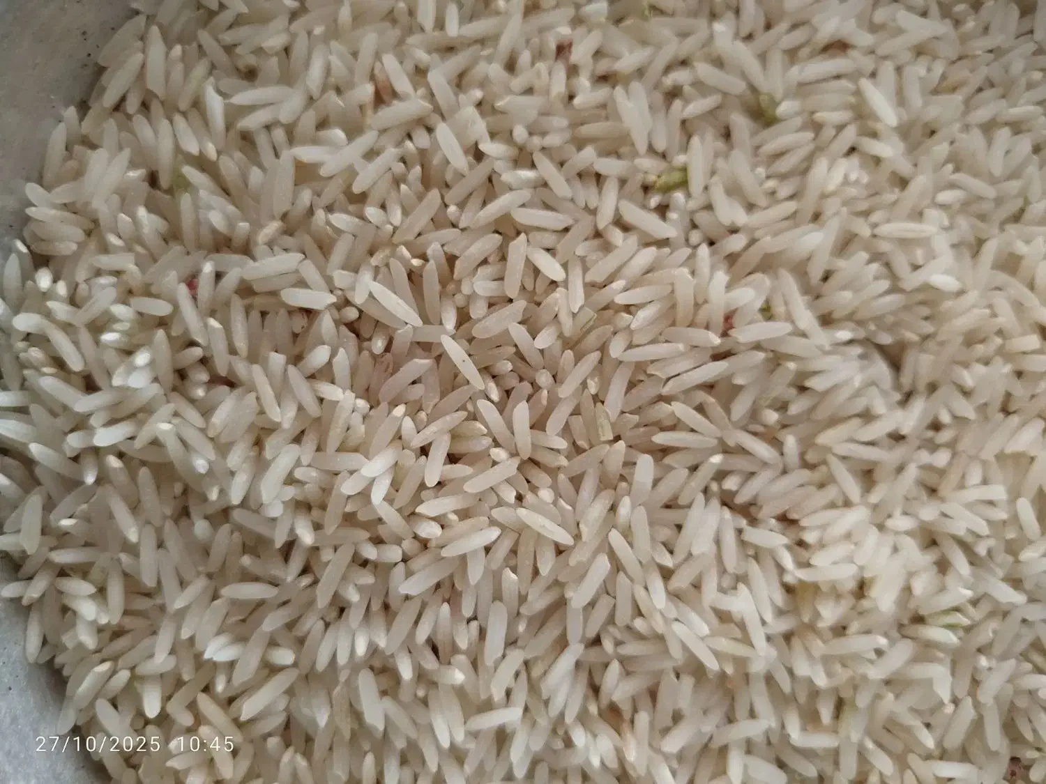 برنج طارم درجه ۱|خوردنی و آشامیدنی|سیروان, |دیوار