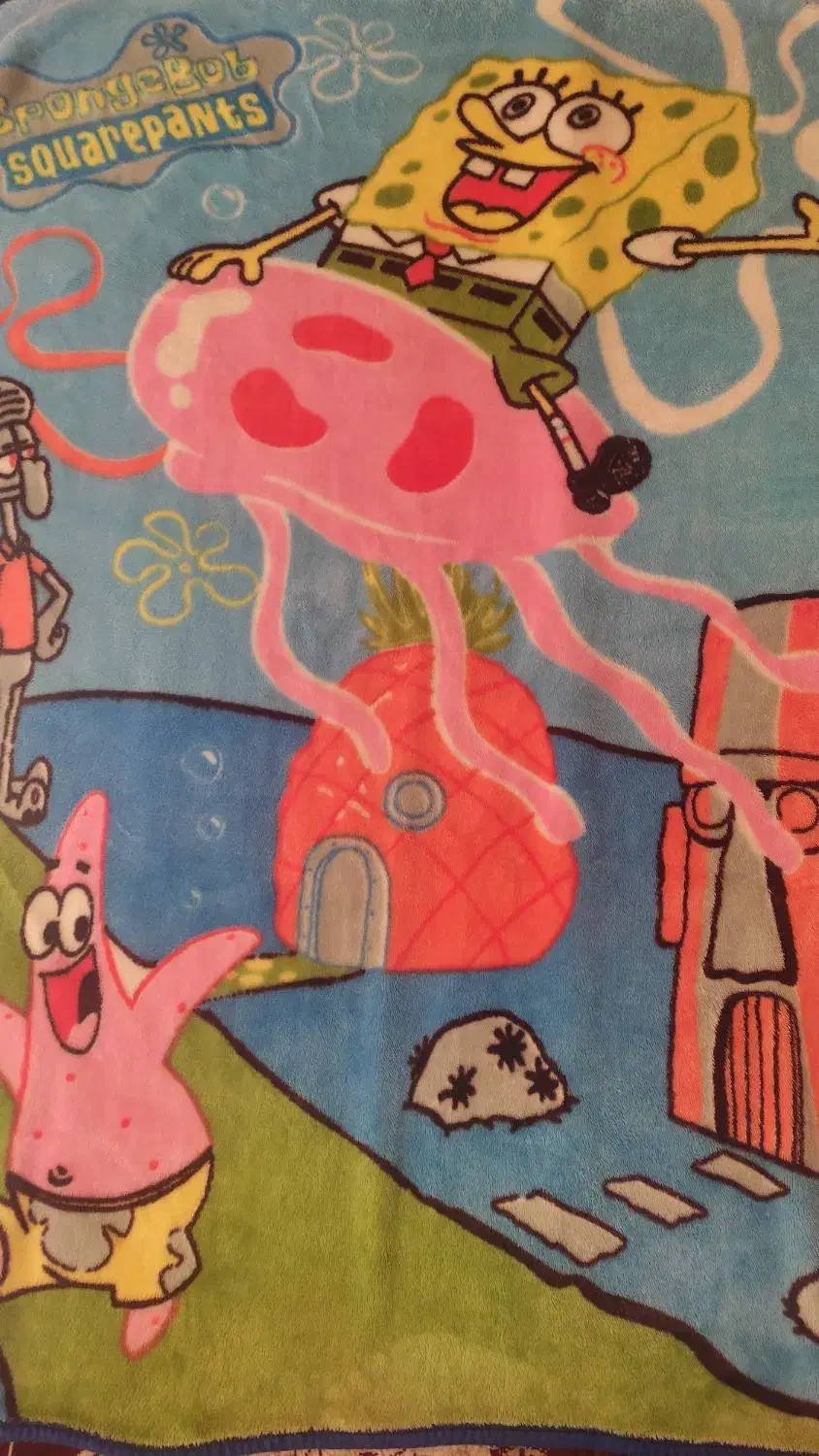 پتوی زیبا|رختخواب، بالش، پتو|آشخانه, |دیوار