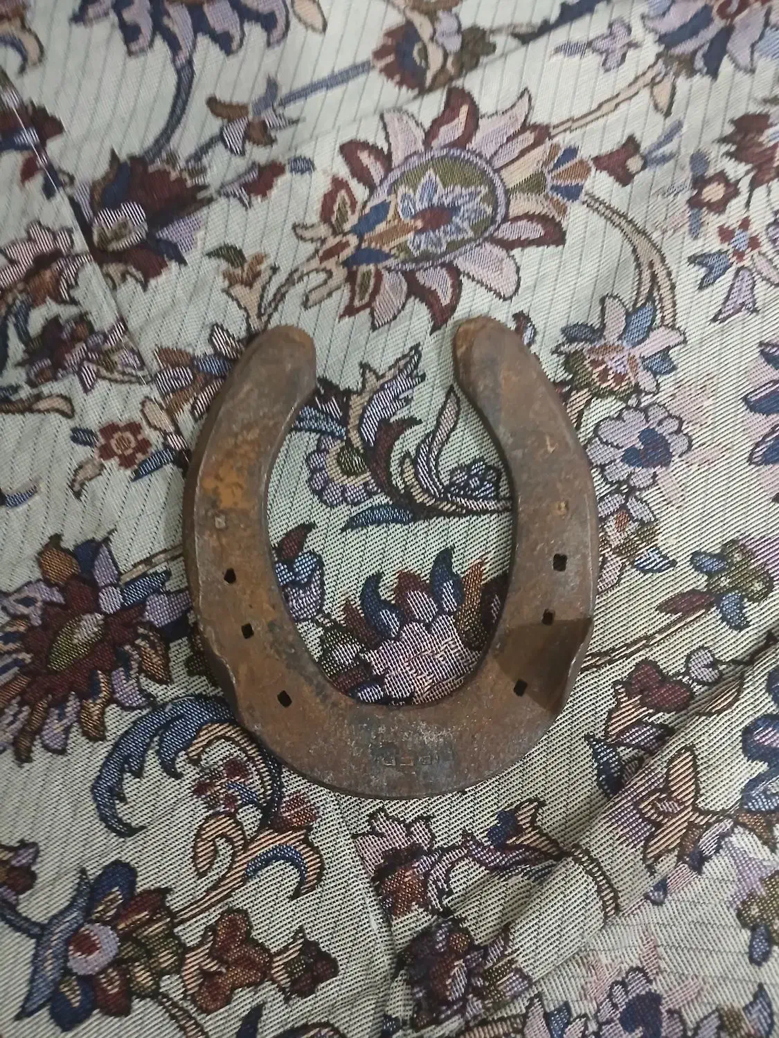 نعل اسب|اسب و تجهیزات اسب‌سواری|فردیس, شهرک شهید حسینی|دیوار