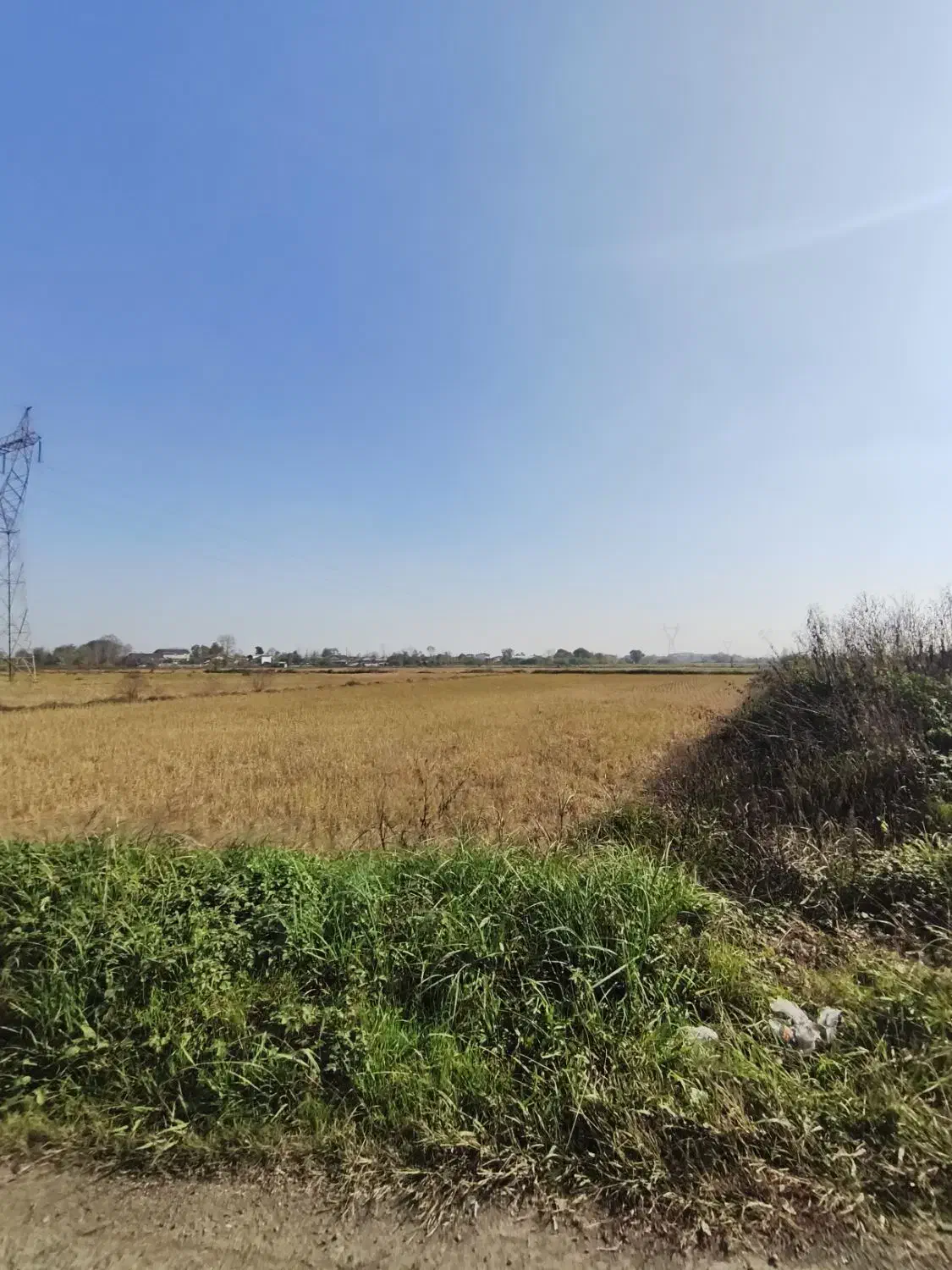 3800متر مزرعه دو بر بیجار مکانیزه شلمان|فروش زمین و ملک کلنگی|شلمان, |دیوار