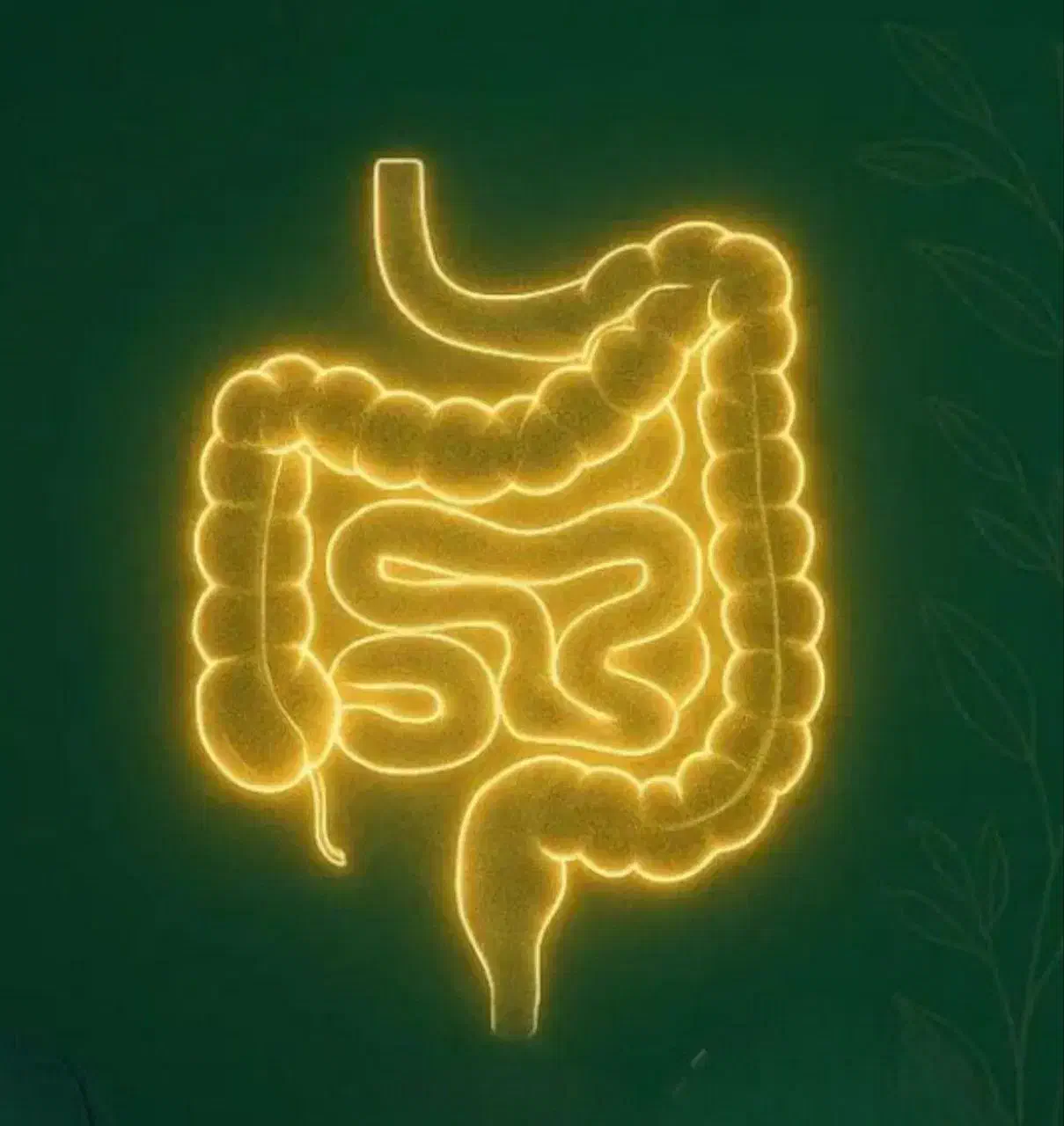 روغن و دمنوش های گیاهی و طبیعی|خوردنی و آشامیدنی|نیشابور, گمنام غربی|دیوار