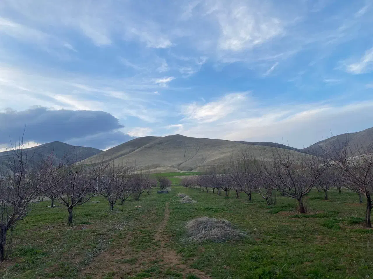 فروش باغ|فروش زمین و ملک کلنگی|موچش, |دیوار