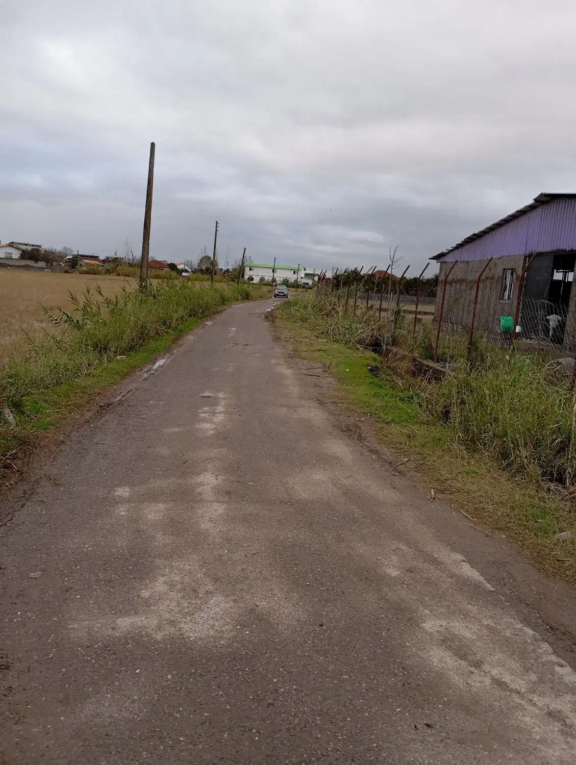 زمین ۴هکتاری جای خوب و موقعیت خوب|فروش زمین و ملک کلنگی|دابودشت, |دیوار