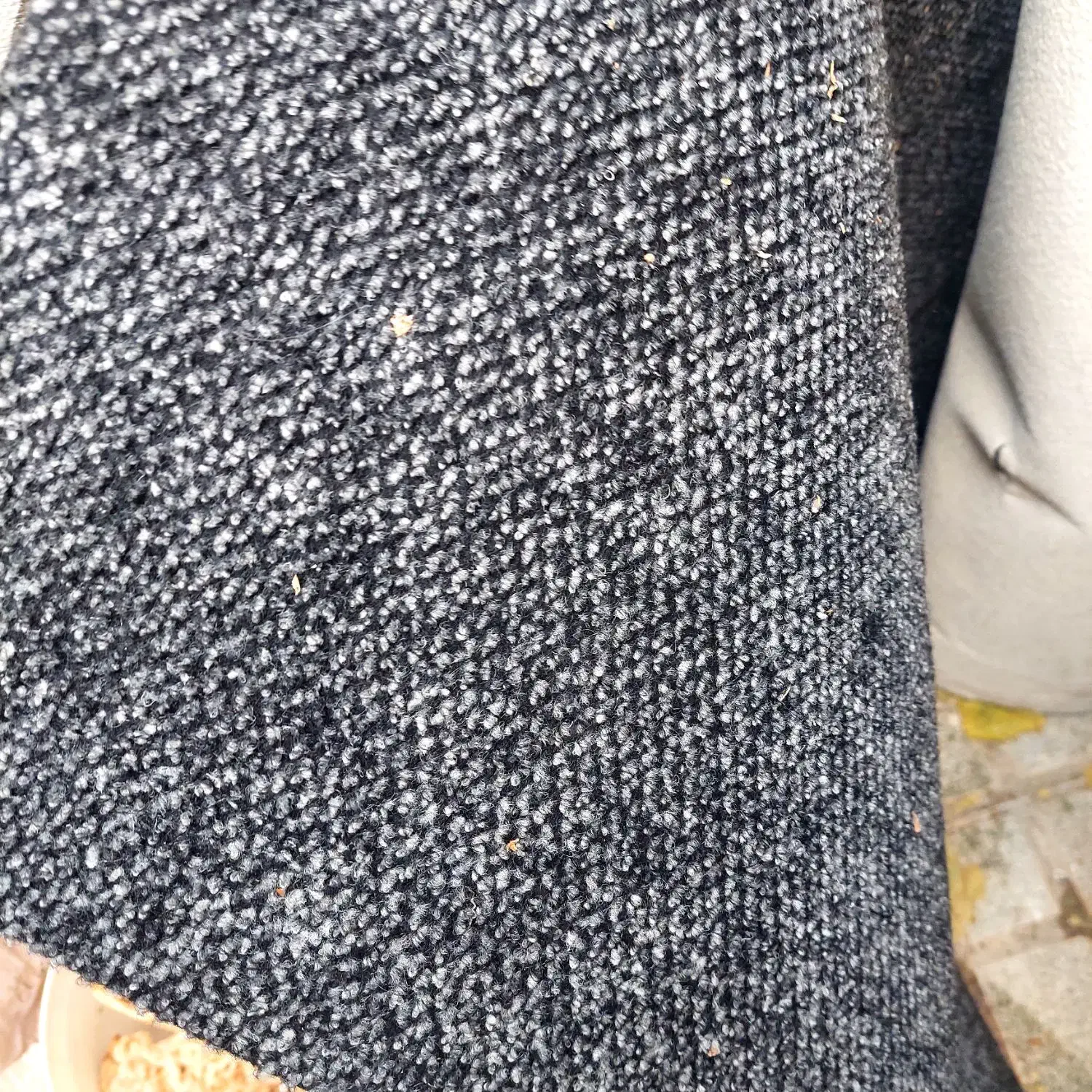 موکت متری ۱۵۰|موکت|بومهن, |دیوار