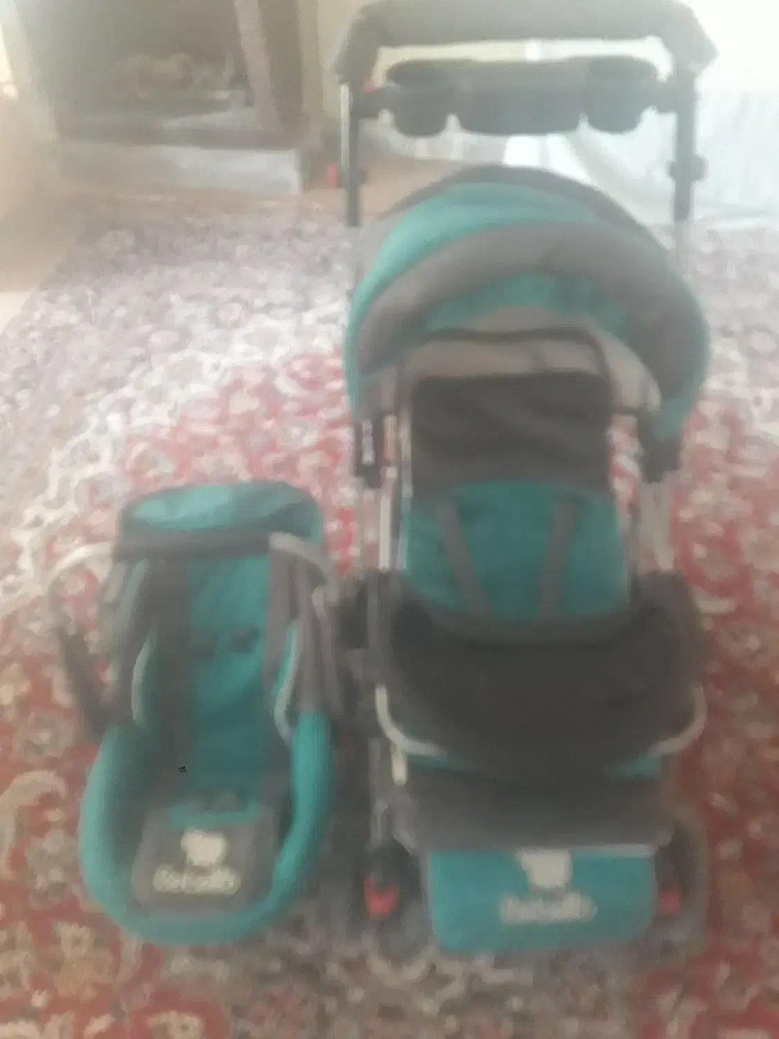 مدل دلیجان|کالسکه و لوازم جانبی|بروجرد, |دیوار