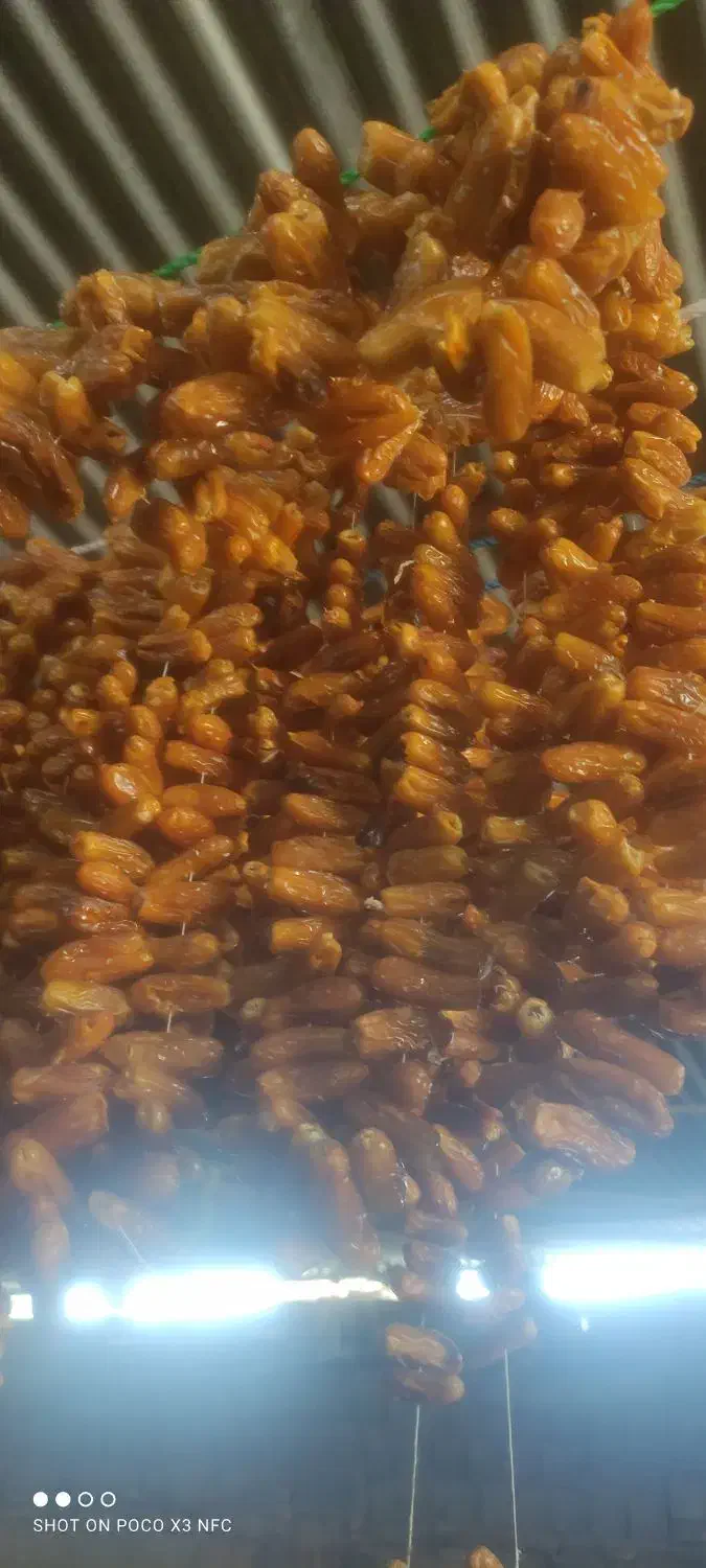 خارک|عمده‌فروشی|محمله, |دیوار