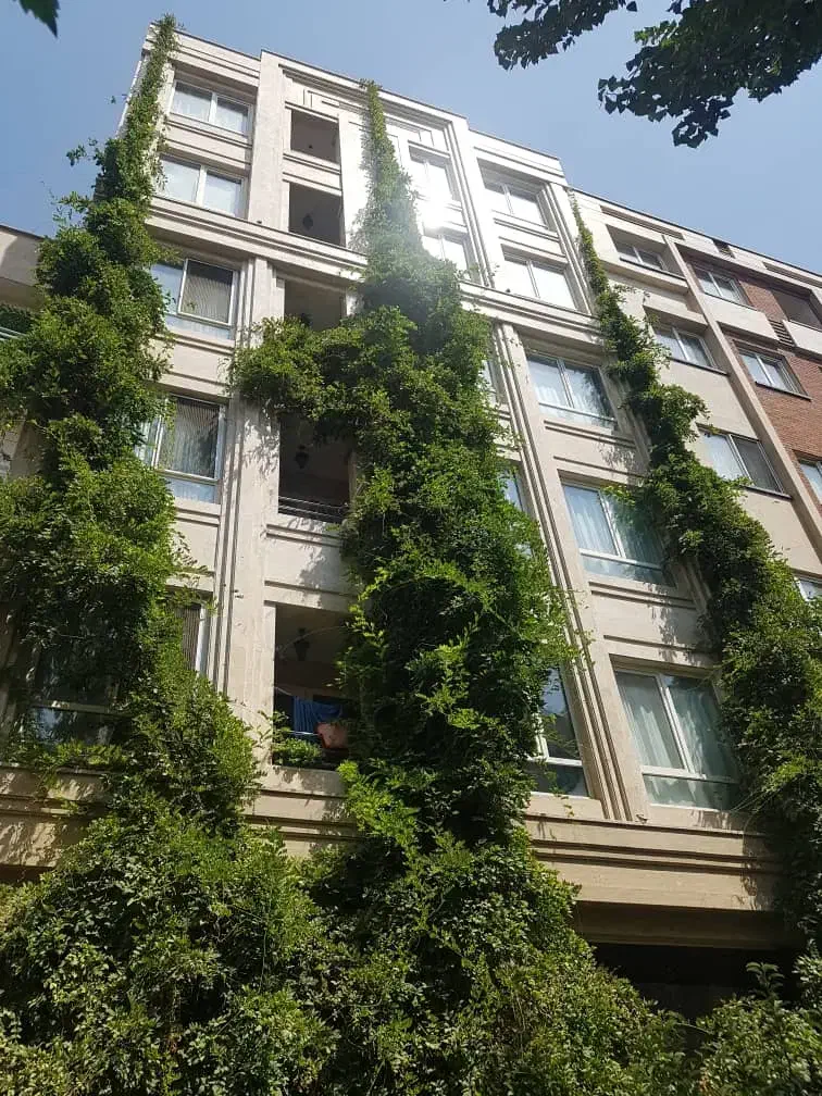 پلان تفکیکی/سالن پرده خور سرتاسری/آفتابگیر|فروش آپارتمان|تهران, قیطریه|دیوار