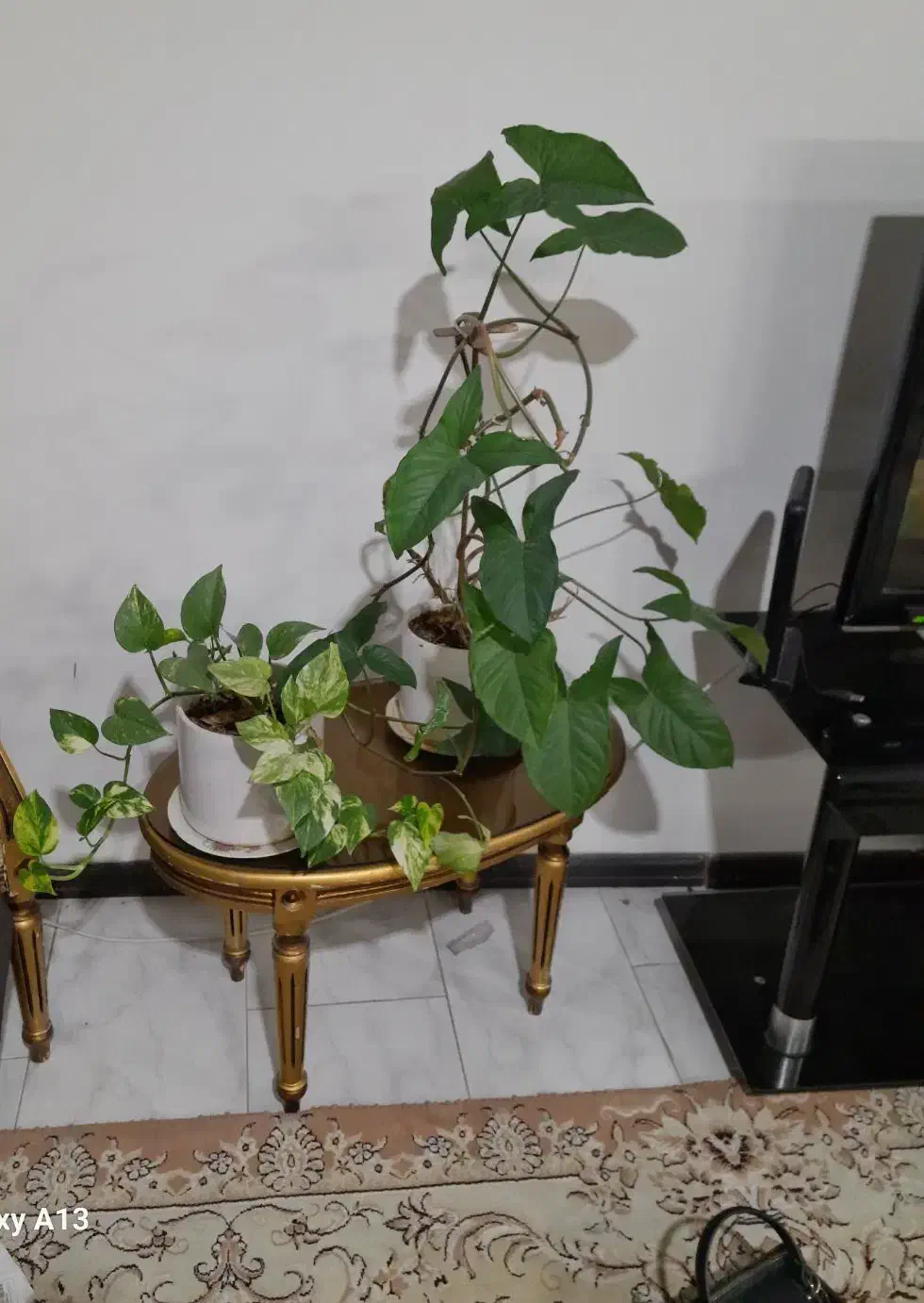 لوازم منزل|حراج|مشهد, الهیه|دیوار