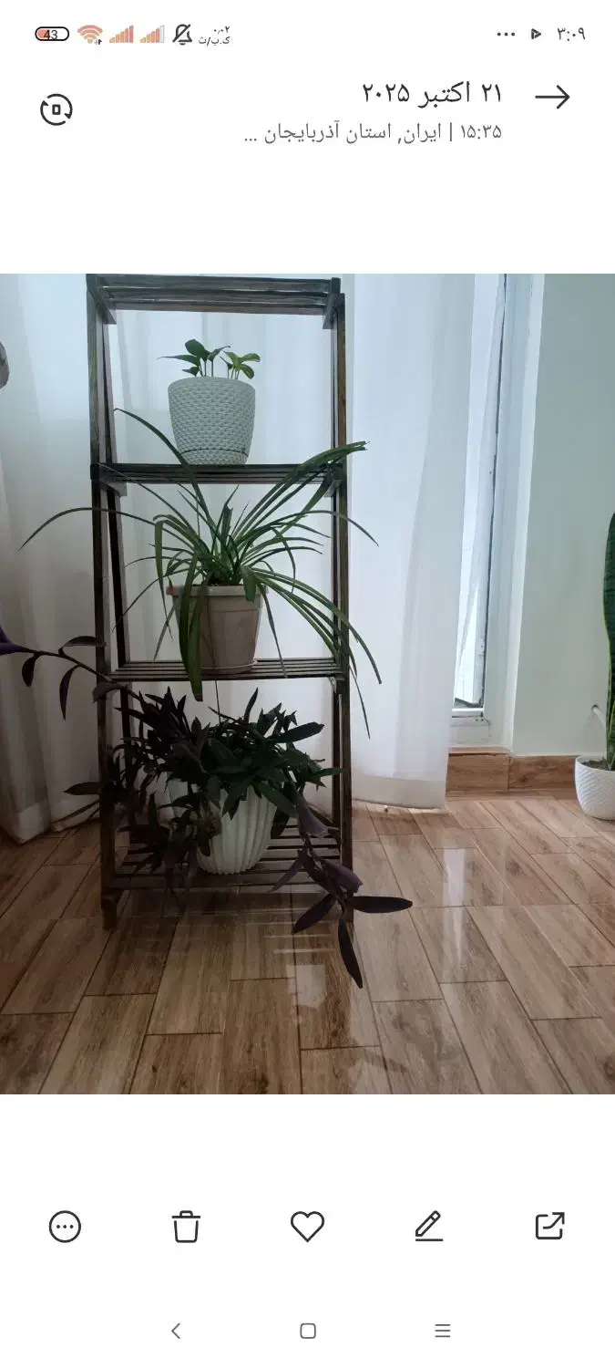 استند چوبی|کتابخانه، شلف، قفسه‌های دیواری|تبریز, |دیوار