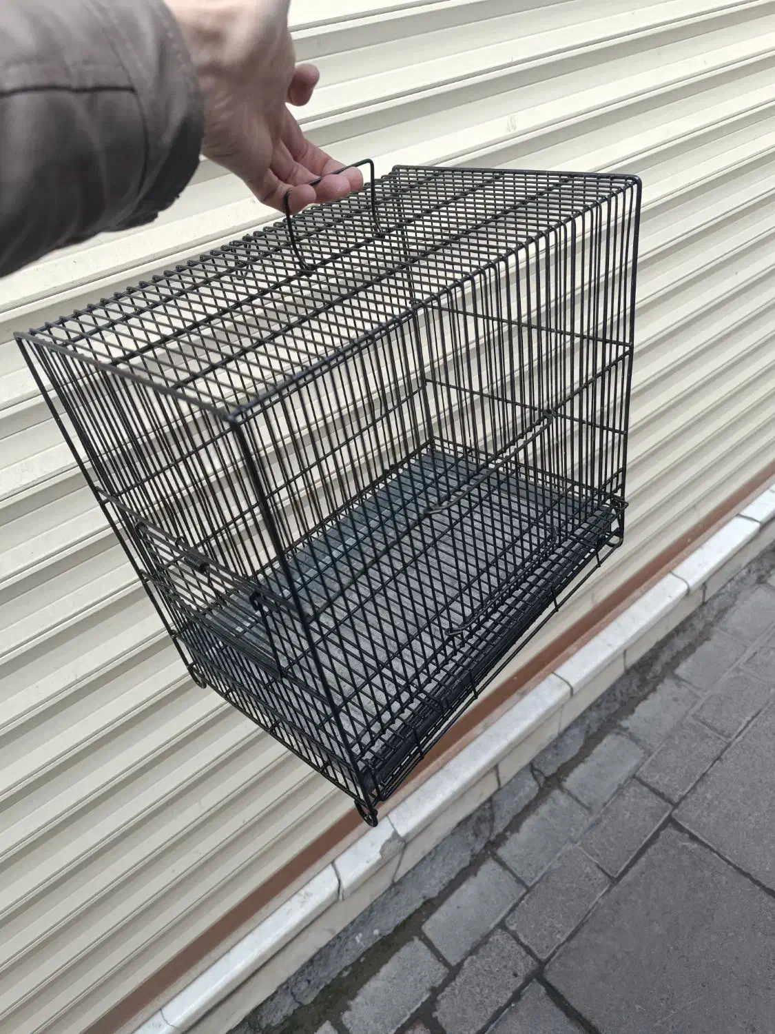 ۳ عدد قفس سهره فضله گیردار|لوازم جانبی حیوانات|مراغه, |دیوار