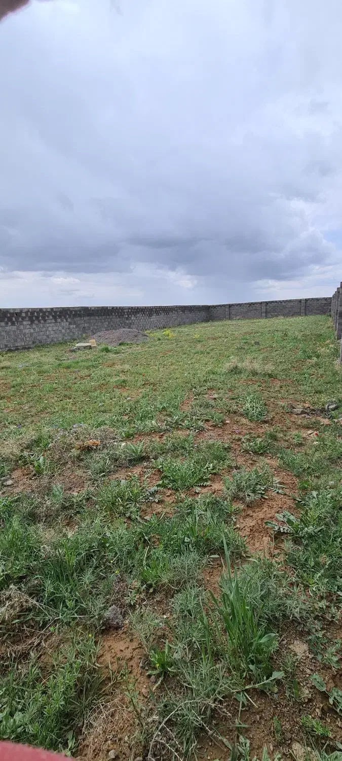 زمین ویلایی در کوی ویلایی ولیعصر صوفیان باغ وزیر|فروش خانه و ویلا|صوفیان, |دیوار