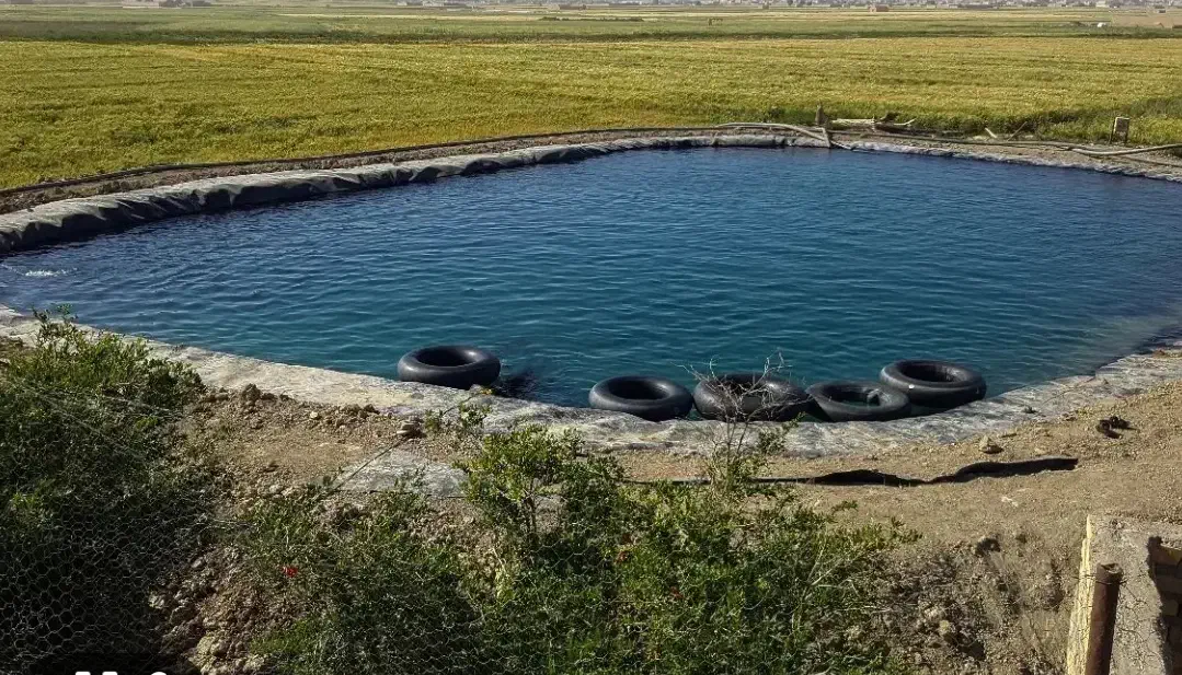 فروش و نصب لایه استخر کشاورزی|خدمات پیشه و مهارت|جوین, |دیوار