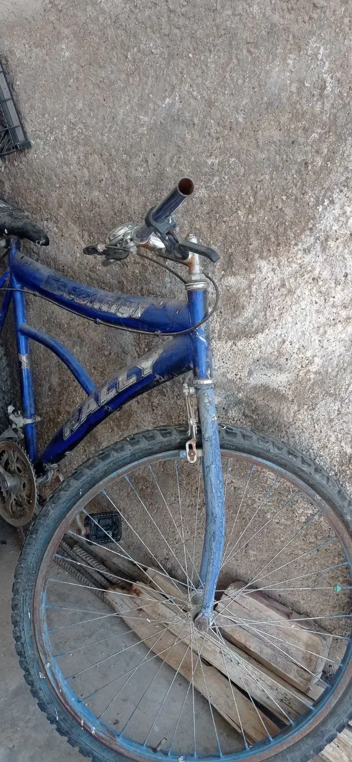 دوچرخه|دوچرخه، اسکیت، اسکوتر|فسا, |دیوار