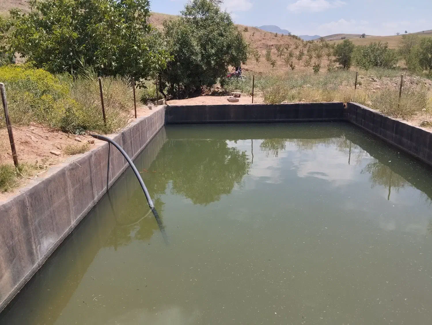 زمین باغ بادوم ب همراه چشمه و استخر|فروش دفتر صنعتی، کشاورزی، تجاری|عجب شیر, |دیوار