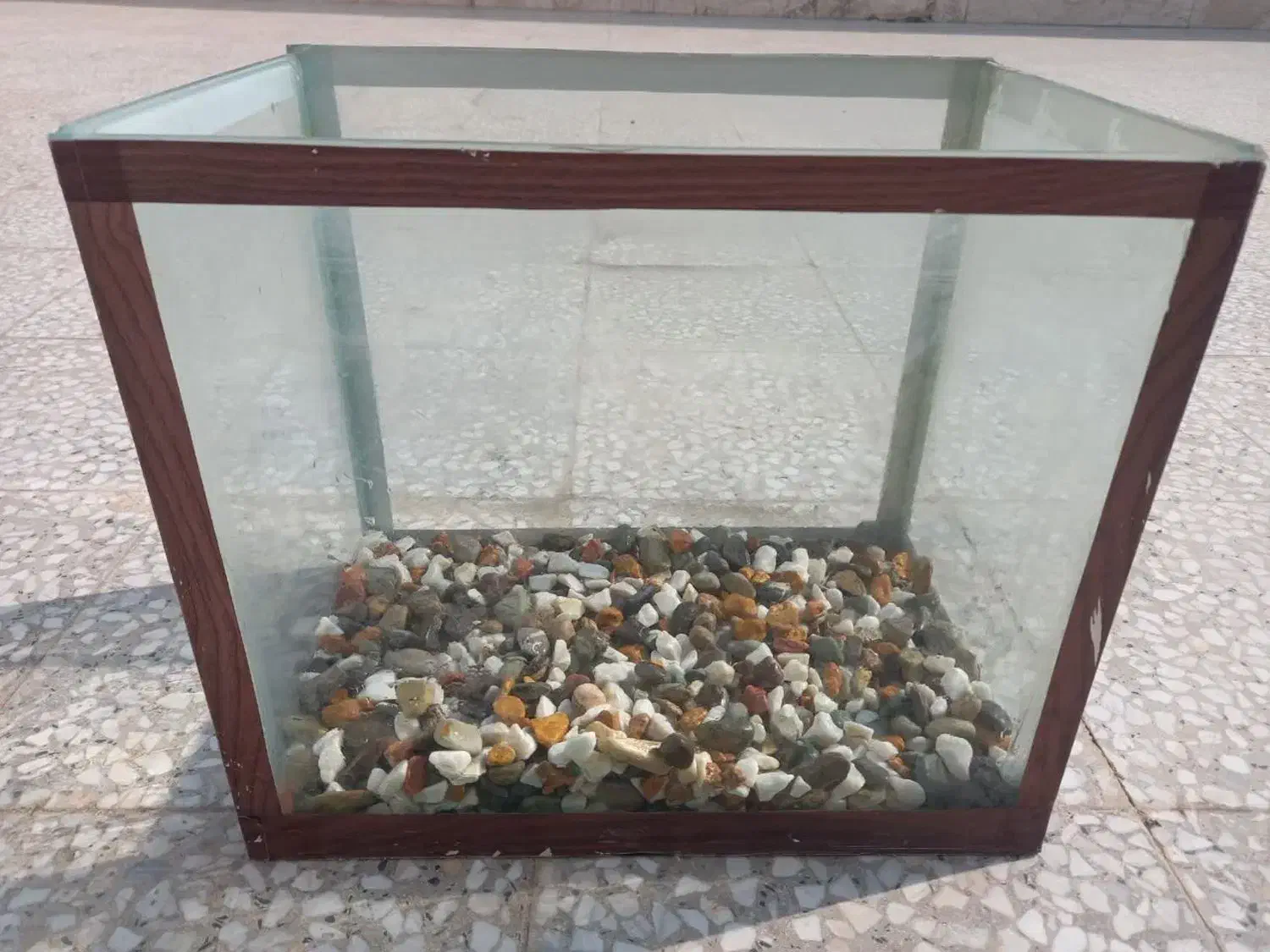 اکواری م نو|ماهی|باقرشهر, |دیوار