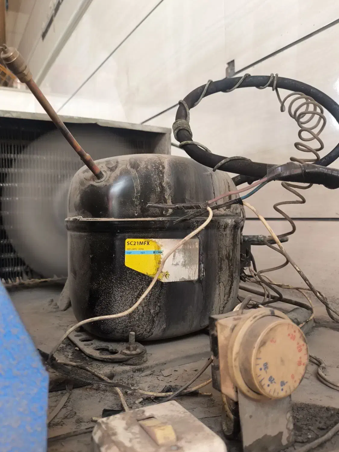 یخچال ویترینی|فروشگاه و مغازه|زرقان, |دیوار