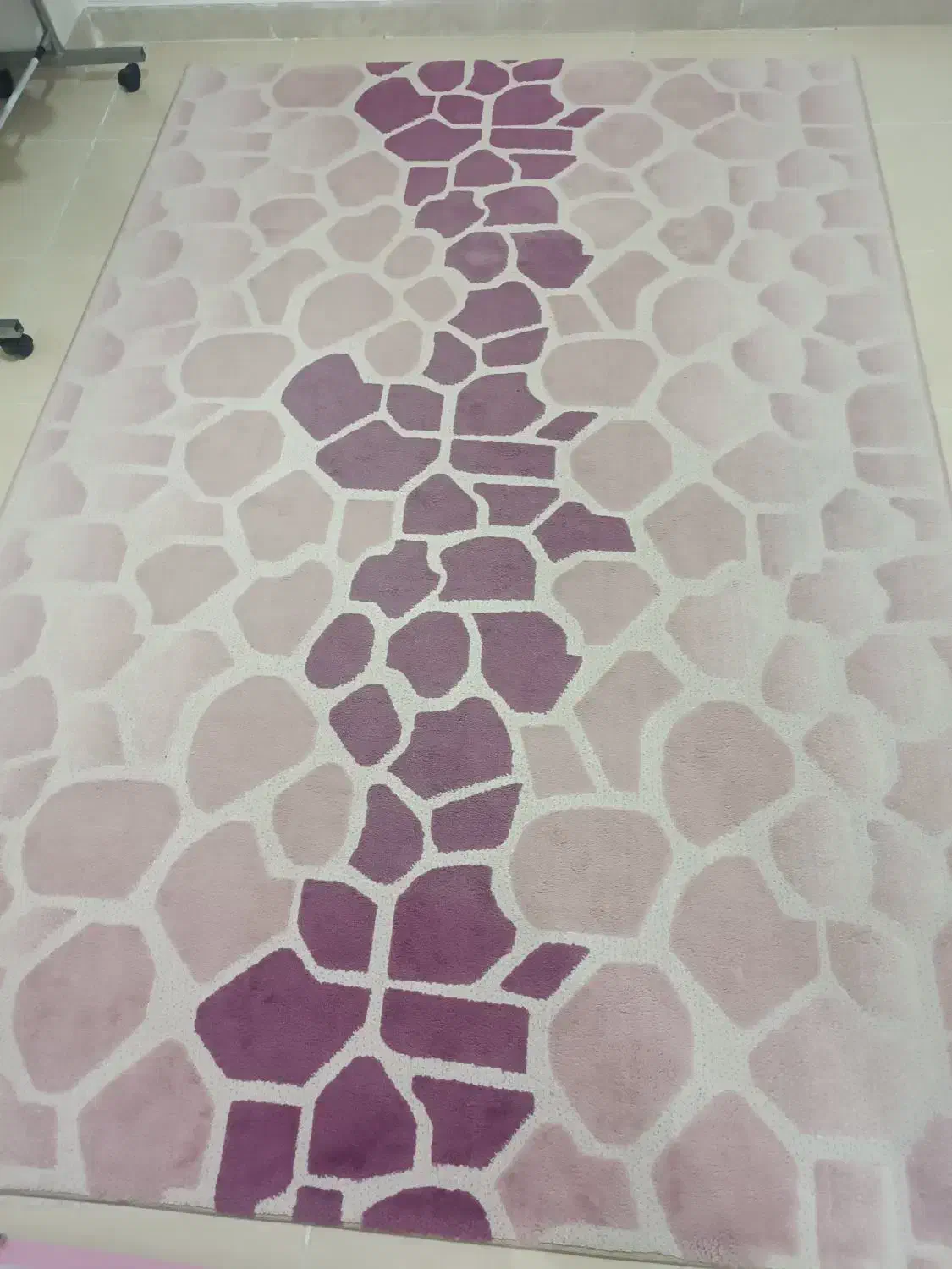 گلیم فرش ۴متریو شیش متری|گلیم، جاجیم، گبه|بندرعباس, |دیوار