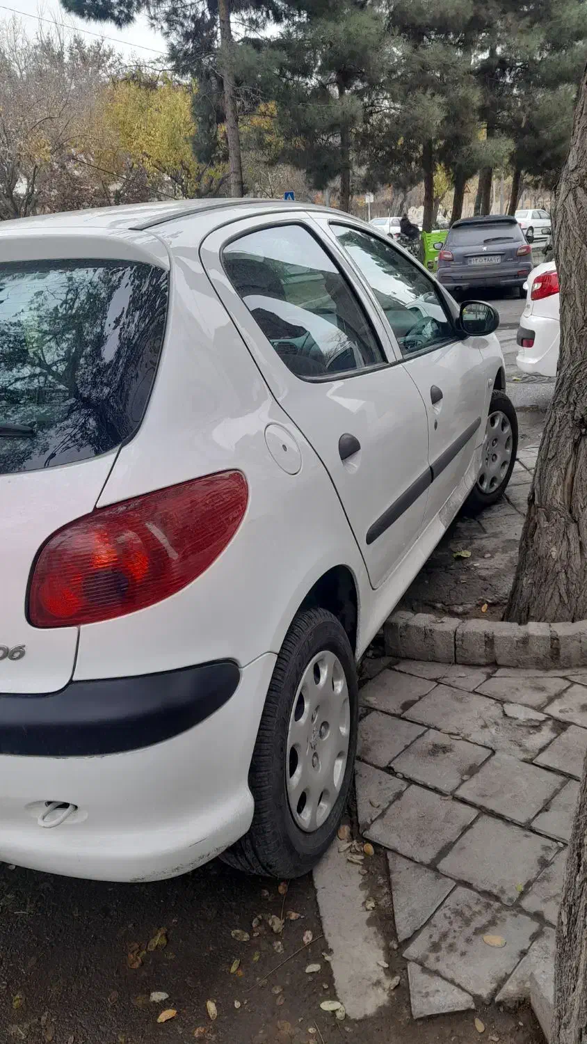 پژو۲۰۶ کم کار نقدی یا تعویض|خودرو سواری و وانت|مشهد, عبادی|دیوار