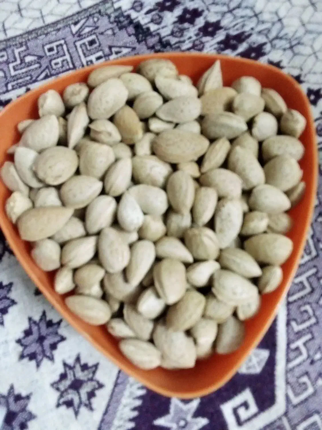 بادام سنگی|خوردنی و آشامیدنی|فولادشهر, مسکن مهر فولادشهر|دیوار