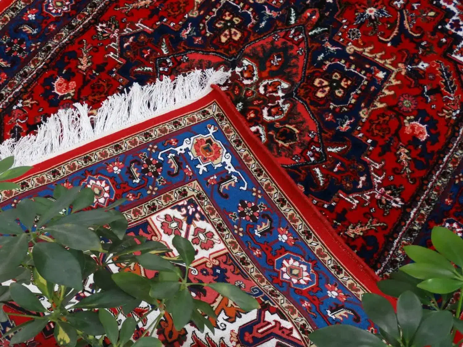 فرش دستبافت مرینوس و ابریشم|فرش|تهران, قیطریه|دیوار