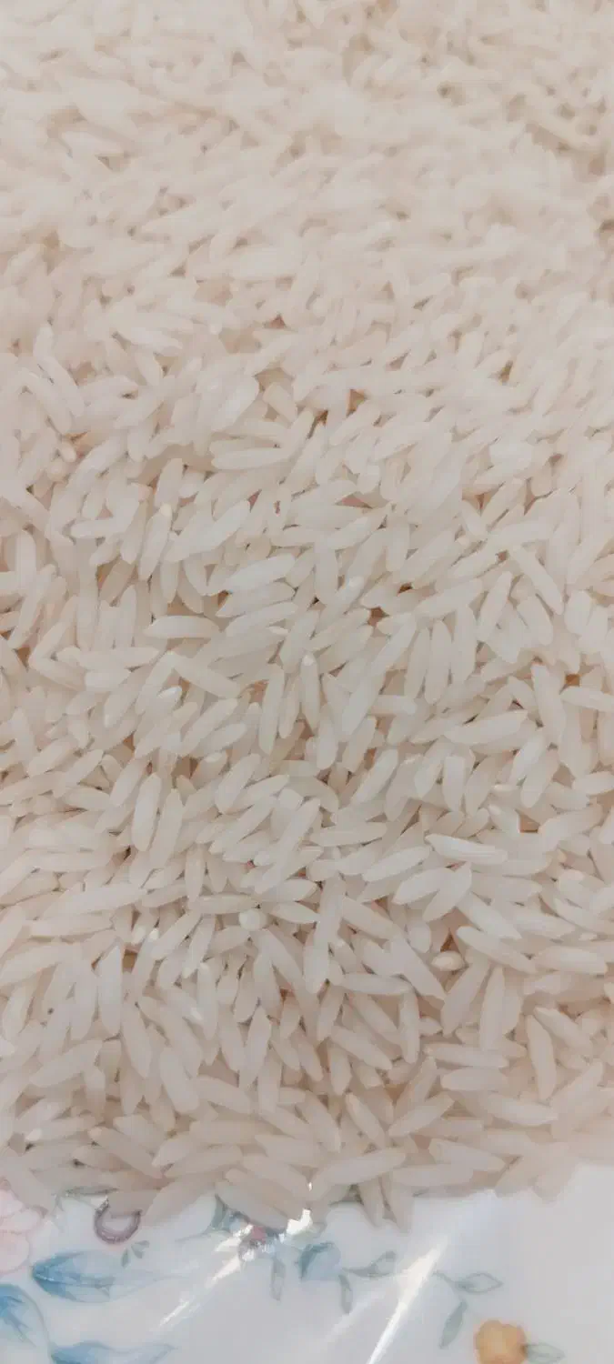 برنج طارم محلی فریدونکنار|خوردنی و آشامیدنی|فریدون‌کنار, |دیوار