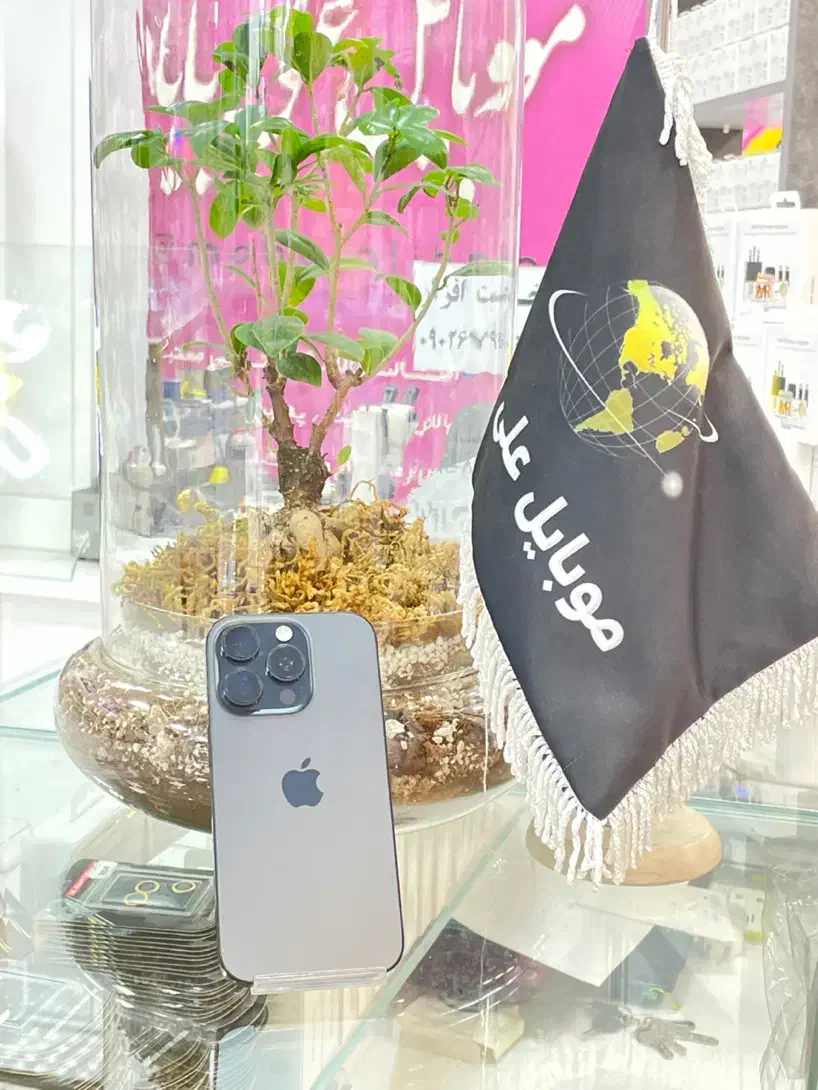 16 pro 256 cha|موبایل|قم, چهل درخت‎|دیوار