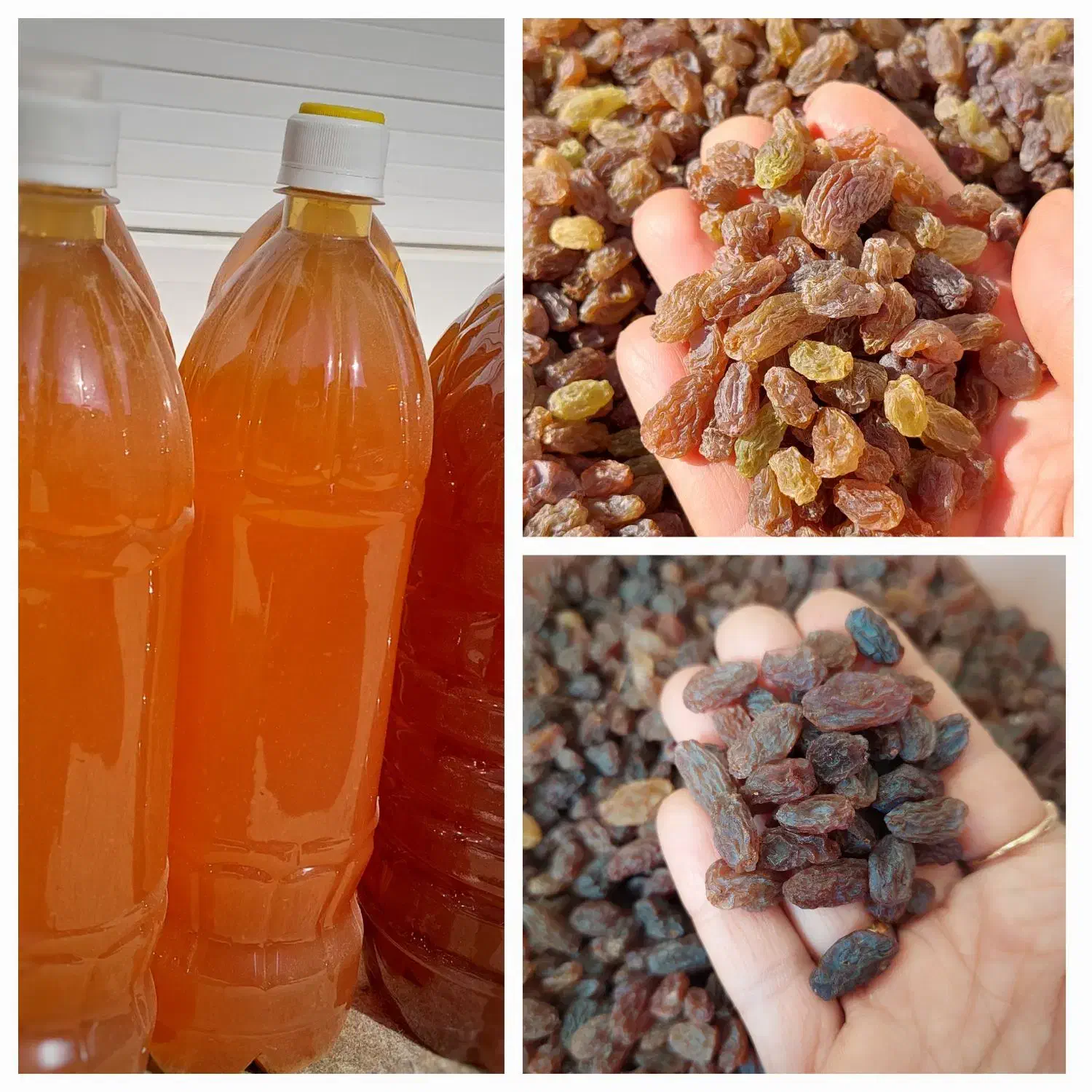 کشمش آفتابی،سایه خشک،سرکه|خوردنی و آشامیدنی|محمدیه-قزوین, |دیوار