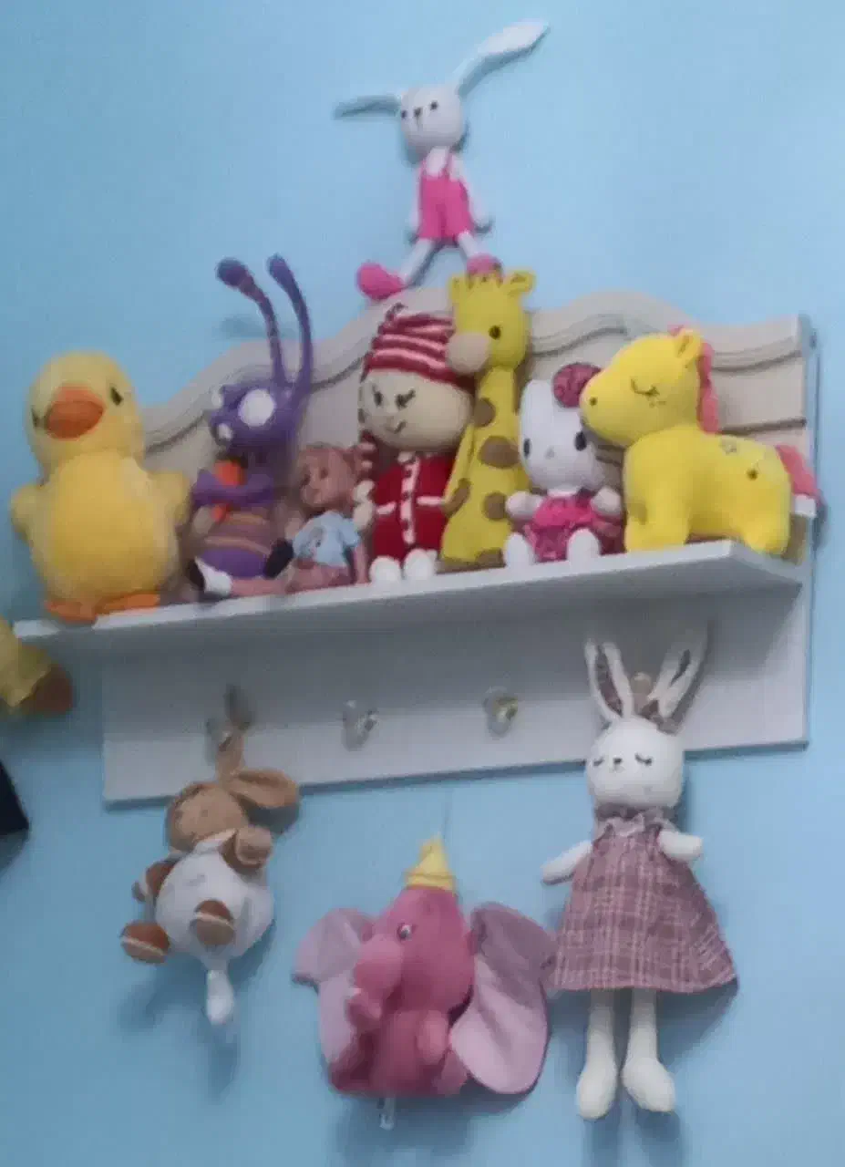 شلف طبقه|کتابخانه، شلف، قفسه‌های دیواری|ملایر, |دیوار