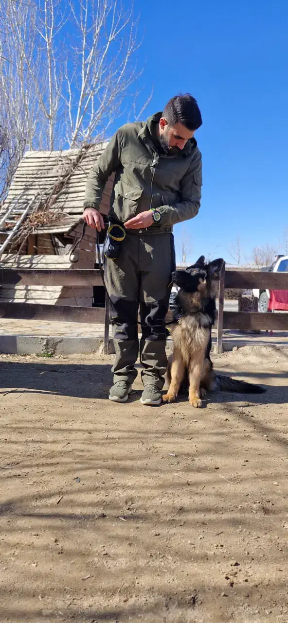 اموزش سگ/ مربی سگ/ تربیت سگ|خدمات آموزشی|نور, |دیوار