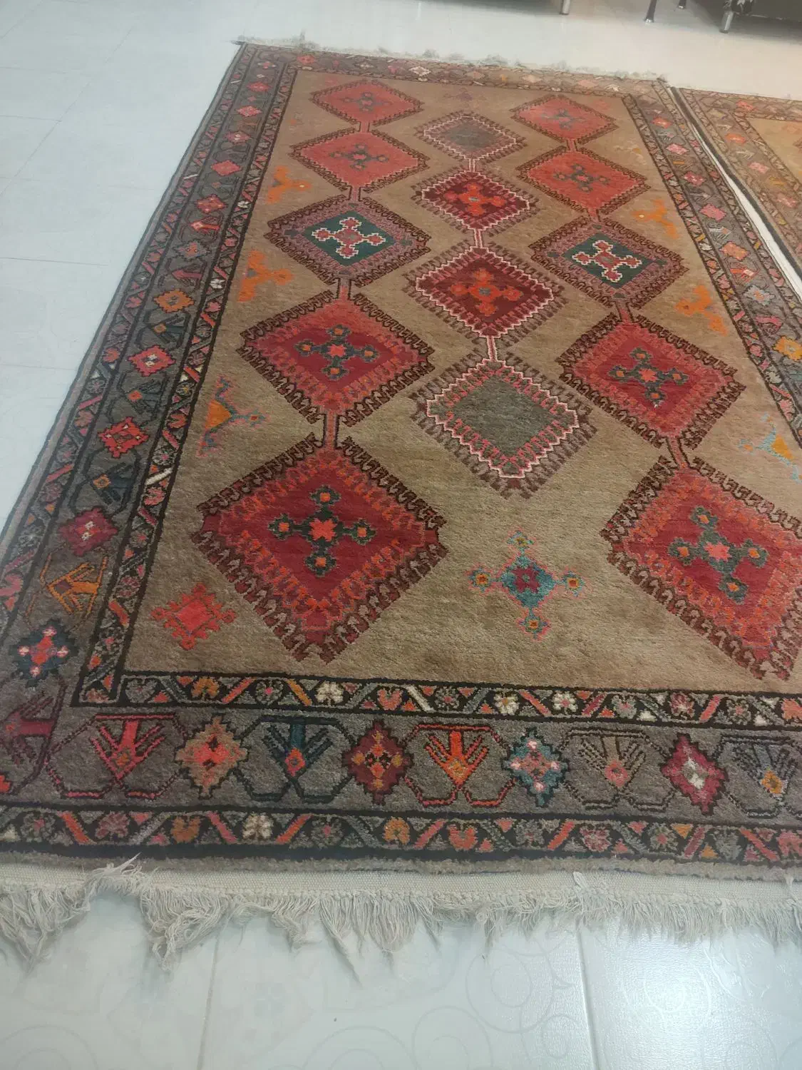 قالی پشم در پشم قدیمی ترکی دست بافت|فرش|شهرضا, |دیوار