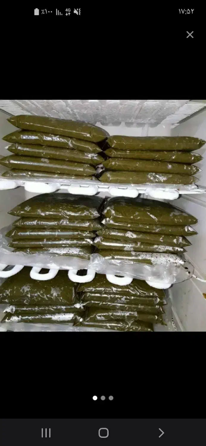 سبزی خورشتی خوزستان|خوردنی و آشامیدنی|شاهین‌شهر, شهرک گلدیس|دیوار