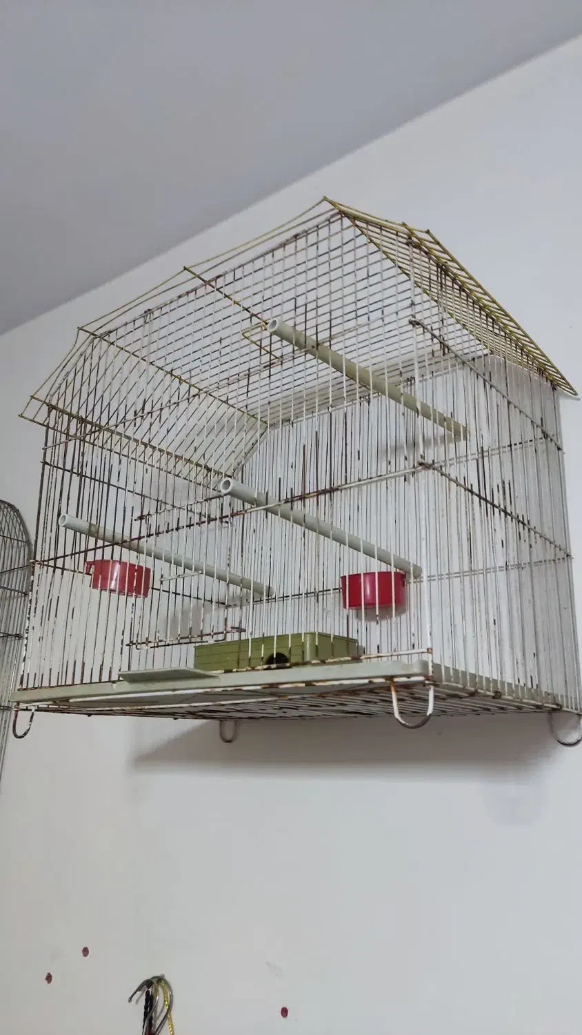 قفص میناونرغ عشق|لوازم جانبی حیوانات|بندر امام خمینی, |دیوار