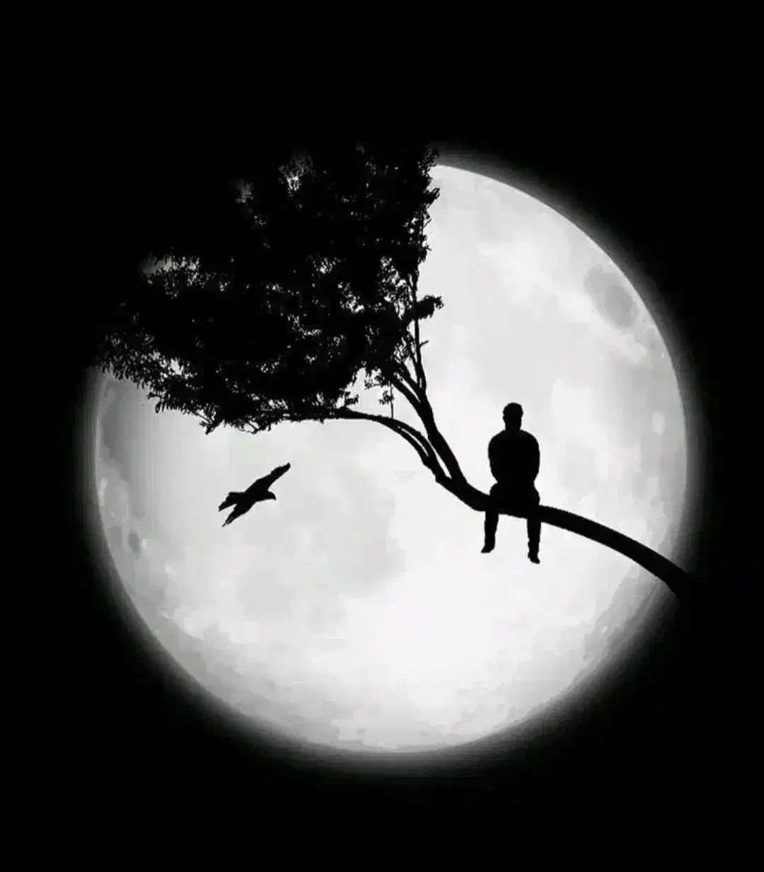 راهنمایی|فعالیت داوطلبانه|قم, بنیاد|دیوار