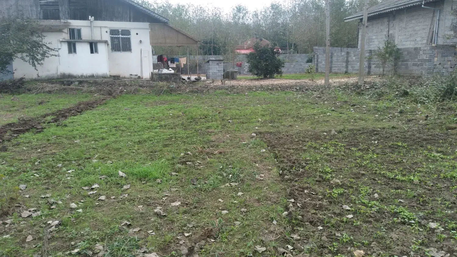 زمین سند دار با نامه بنیاد ۱میلیارد|فروش زمین و ملک کلنگی|رودبنه, |دیوار