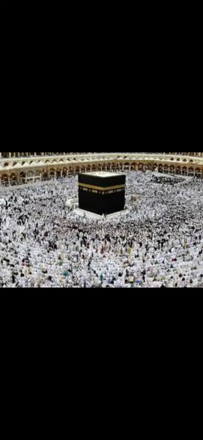 مرکز مجاز  فیش حج ۸۰ تا ۹۰ خرید و فروش|تور و چارتر|قم, تولید دارو و یخچال|دیوار