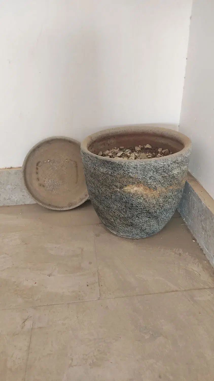 گلدان سفالی|گل و گیاه طبیعی|پردیس, فاز ۵|دیوار