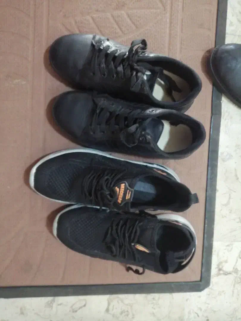 کفش|کیف، کفش، کمربند|بوشهر, |دیوار