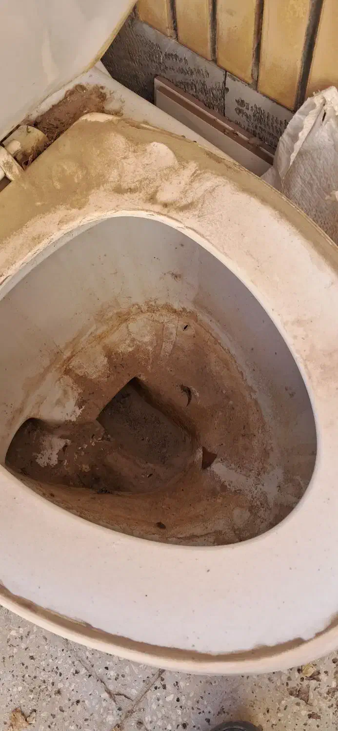 توالت فرنگی|لوازم سرویس بهداشتی|تربتحیدریه, بالا ولایت|دیوار