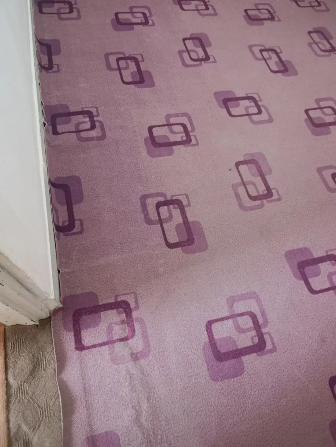 موکت|موکت|ملایر, |دیوار