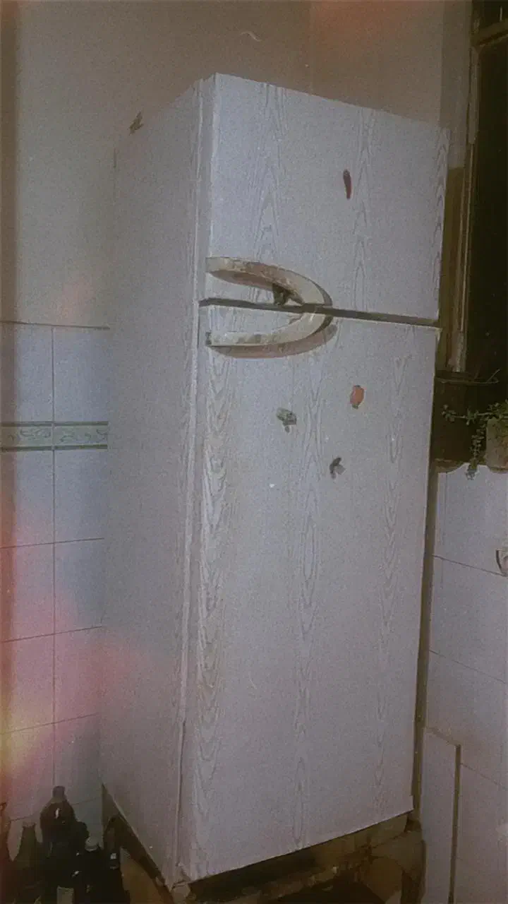 یخچال|یخچال و فریزر|بهارستان, |دیوار