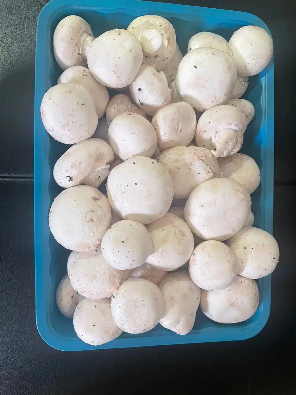 قارچ|عمده‌فروشی|تهران, چیتگر جنوبی|دیوار