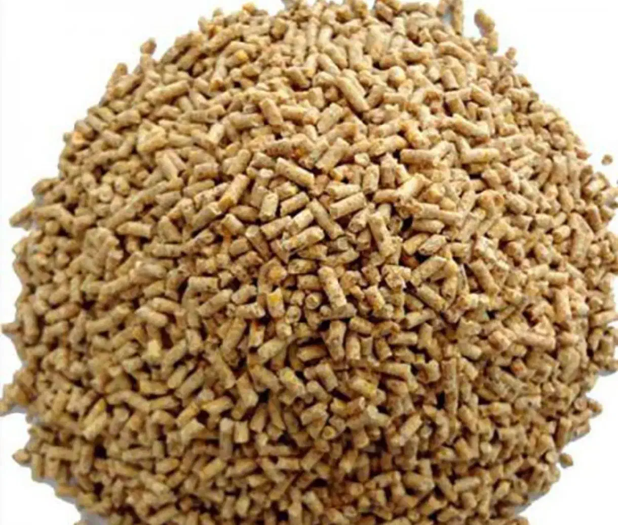 ماهی کپور|ماهی|کرج, عظیمیه|دیوار