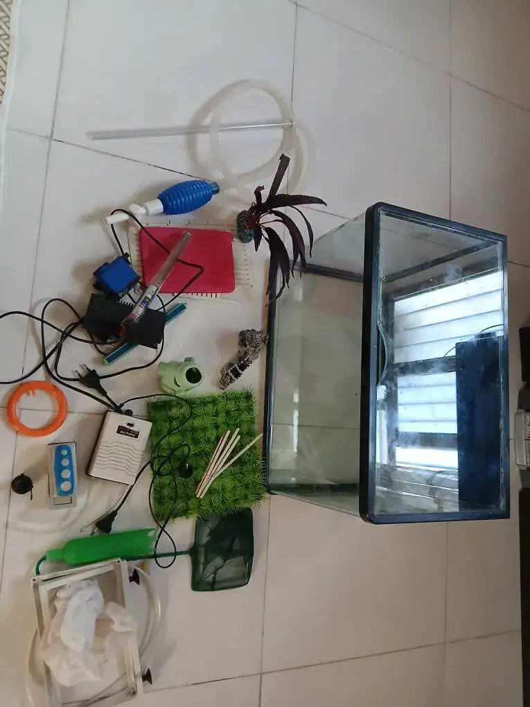 آکواریوم|ماهی|کرج, کلاک نو|دیوار