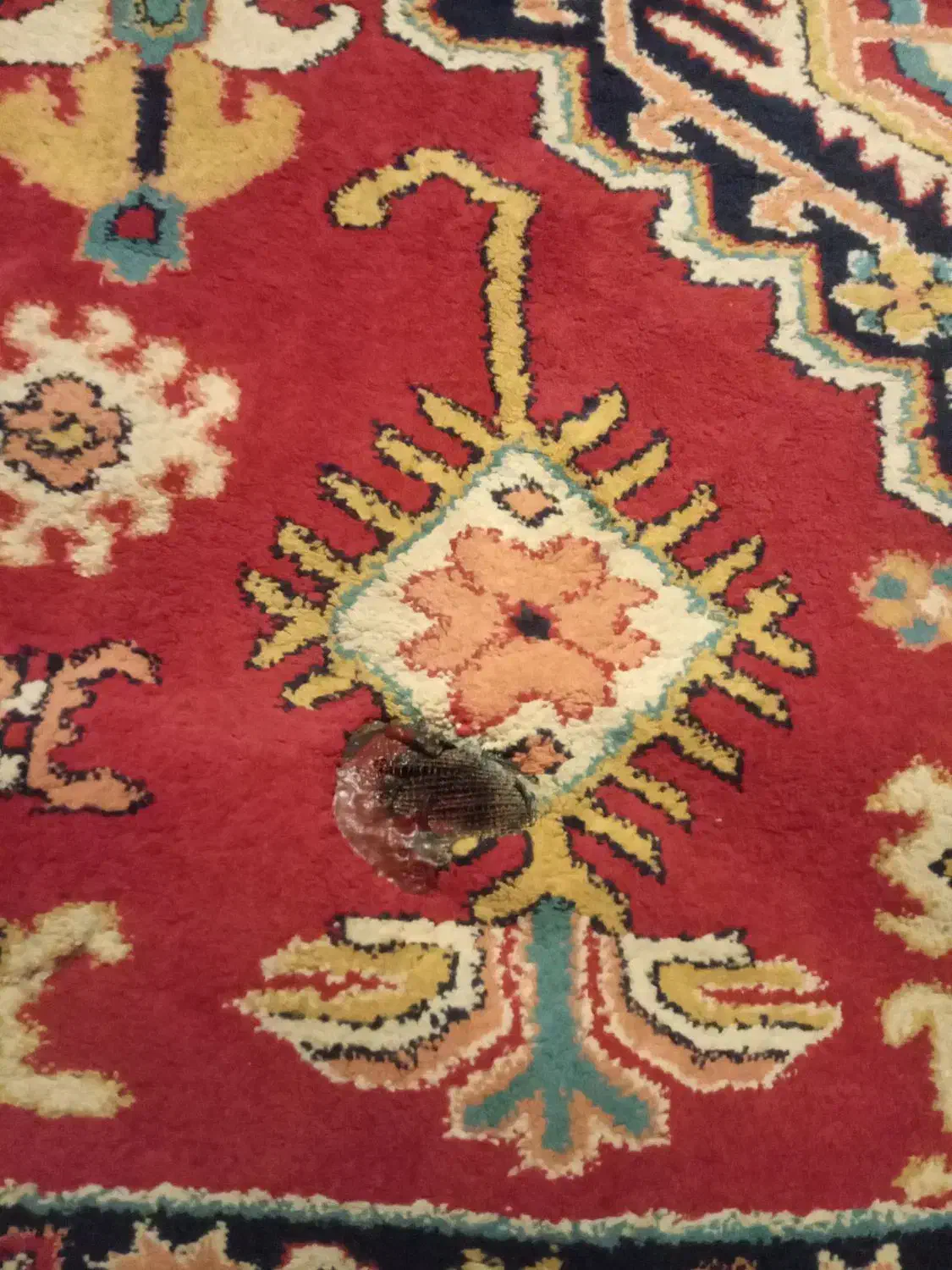 فرش ۶متری|فرش|آمل, |دیوار