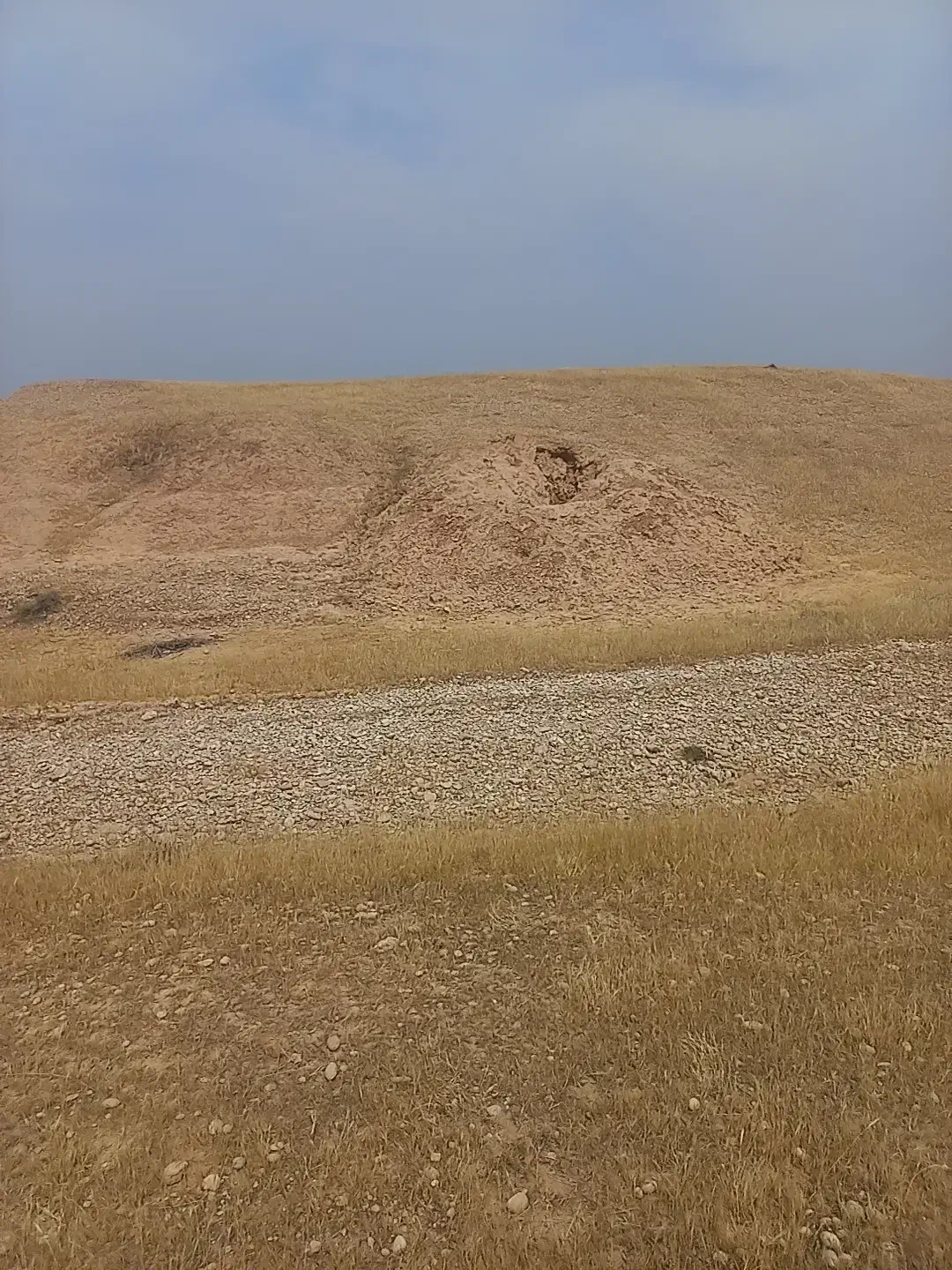 طلا|جواهرات|شوشتر, |دیوار