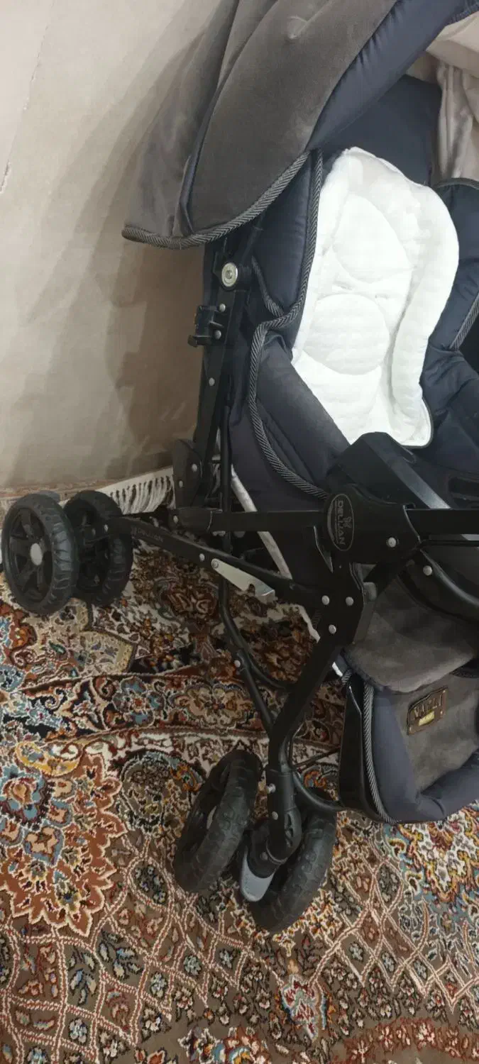 کالسکه مدل دلیجان|کالسکه و لوازم جانبی|سبزوار, شرق کال عیدگاه|دیوار