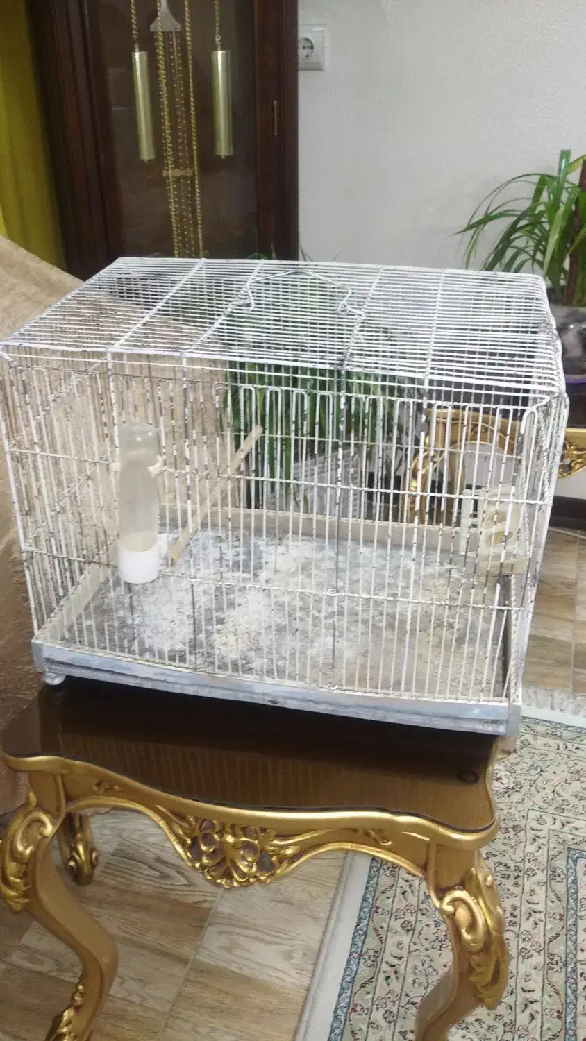 قفس پرنده وخرگوش|لوازم جانبی حیوانات|شاهینشهر, اقبال لاهوری|دیوار