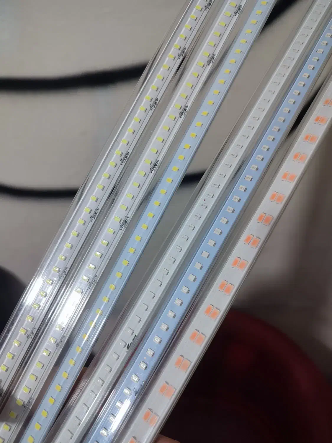 ریسه های LED نورانی نو.|ریسه و چراغ تزئینی|ری, علایین|دیوار